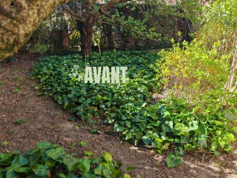 Aménagement extérieur - Réaménagement d'un jardin cosy à LYON