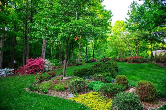 Créer un massif de fleurs dans un jardin - Bourgoin-Jallieu - GREEN TOUCH