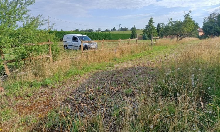 Taille des haies à BOURGOIN-JALLIEU