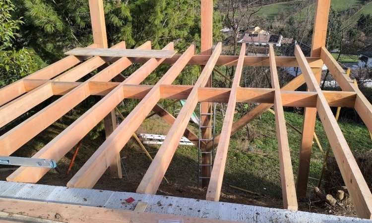 Aménagement extérieur - Création d'une terrasse Douglas sur pilotis à Bourgoin Jallieu