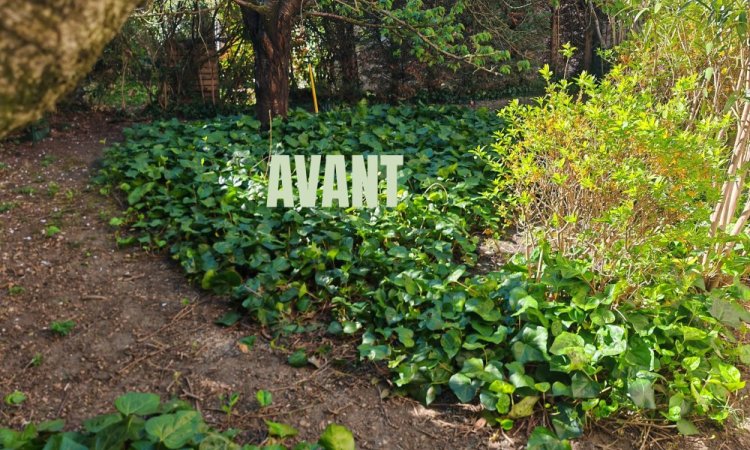 Aménagement extérieur - Réaménagement d'un jardin cosy à LYON