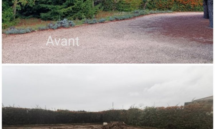 Nettoyage d'un terrain pour réorgnisation paysagère à BOURGOIN-JALLIEU