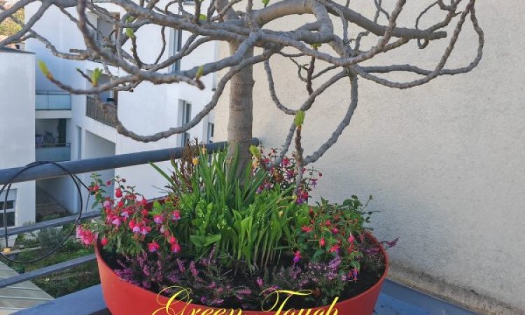 Aménagement d'une terrasse - Pose et plantation de bacs à fleurs - Pose de barrières composites à LYON